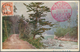 Delcampe - Japan: 1923, Used Earthquake Accumulation On Stockpages, Also 4 S., 8 S. 20 S. Mint, Inc. 8 Covers/ - Usados