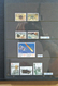 Delcampe - Norfolk-Insel: 1947-2007. Extensive, MNH Collection Norfolk 1947-2007 In 2 Albums, Together With 5 A - Isla Norfolk