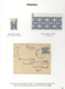 Delcampe - Palästina: 1918-1927, Exhibition Collection "PALESTINE STAMPS & COVERS FROM 1918 - 1927" On 80 Leave - Palestine