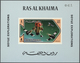 Delcampe - Ras Al Khaima: 1970/1971, U/m Collection In A Thick Stockbook With Attractive Thematic Issues Like C - Ras Al-Khaima