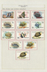 Schardscha / Sharjah: 1963/1972, Mint And Used Collection/accumulation In A Binder With Plenty Of Ma - Schardscha