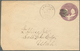 Vereinigte Staaten Von Amerika: 1870-1974, UTAH : 22 Covers / Cards With Utah Cancellations, 9 From - Lettres & Documents