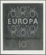 Thematik: Europa / Europe: 1957/1995 (approx), Various Countries. Accumulation Of 102 Items Showing - Ideas Europeas