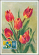 Thematik: Flora, Botanik / Flora, Botany, Bloom: 1960/2000 (ca.), Assortment Of 92 Positions Incl. S - Otros & Sin Clasificación