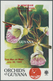 Thematik: Flora-Orchideen / Flora-orchids: 1955/2004 (approx), Various Countries. Accumulation Of 57 - Orquideas