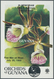 Thematik: Flora-Orchideen / Flora-orchids: 1955/2004 (approx), Various Countries. Accumulation Of 57 - Orchidées