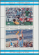 Thematik: Sport-Fußball / Sport-soccer, Football: 1986, ARGENTINA: Winner At Football World Champion - Autres & Non Classés