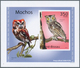 Thematik: Tiere-Eulen / Animals-owls: 2007-2010: Group Of 50 Different Souvenir Sheets (Luxury Block - Búhos, Lechuza