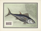 Thematik: Tiere-Fische / Animals-fishes: 1955, France. "LES OISEAUX Et Le Timbre-Poste Par F.-E. Hou - Poissons