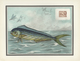 Delcampe - Thematik: Tiere-Fische / Animals-fishes: 1955, France. "LES OISEAUX Et Le Timbre-Poste Par F.-E. Hou - Poissons