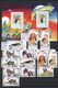 Thematik: Tiere-Hunde / Animals-dogs: 1960/2014 (ca.), Mainly U/m Collection Of Stamps And Souvenir - Perros