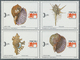 Thematik: Tiere-Meerestiere-Muscheln / Animals-sea Animals-shells: 1960/2000 (approx), Various Count - Coquillages