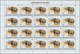 Thematik: WWF: 1982, BURUNDI: African Wildlife Complete Set Of 13 From 2fr. To 85fr. (Lion, Giraffe, - Autres & Non Classés