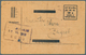 Jugoslawien: 1919/1920, Lot Of Ca. 15 Postal Stationery With Interesting Overprints, Incl. Michel-No - Oblitérés