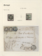 Delcampe - Portugal: 1853/1864, Specialised Exhibit Collection Of Embossed First Issues On Apprx. 70 Album Page - Nuevos