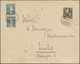 Delcampe - Schweiz: 1913-Modern, FLUGPOST: Umfangreiche Sammlung Der Flugpostmarken (meist Postfrisch Bzw. Anfa - Otros & Sin Clasificación