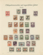 Ungarn - Besetzte Gebiete: Arad: 1919/1921, Mainly Mint Collection Of Apprx. 300 Stamps On Borek Alb - Otros & Sin Clasificación