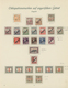 Ungarn - Besetzte Gebiete: Arad: 1919/1921, Mainly Mint Collection Of Apprx. 300 Stamps On Borek Alb - Autres & Non Classés