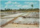 Indonesia, Sawah Mendjelang Penanaman, Rice-fields Ready For Planting,  Unused Postcard [21862] - Indonesia