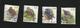 Delcampe - BUZIN  Lot De 34 Timbres Oblités - 1985-.. Vogels (Buzin)