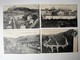 Delcampe - FRANCE - Lot 20 - 50 Anciennes Cartes Postales Différentes - 5 - 99 Postcards