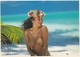 POLYNESIE FRANCAISE--TAHITI--photo T. SYLVAIN--filles Des Mers Du Sud--( Nu Nue Seins Nus )--voir 2 Scans - Polynésie Française