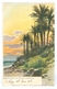 1900's Italy, Bordighera, Le Palme Di Scheffel. Printed Art Pc, Used. - Imperia