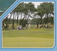 GOLF: Knokke-Zoute ( B.) - Golf