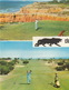 GOLF:  Vale De Lobo ( Algarve, Portugal) - 4x Clube De Golf - Golf