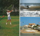 GOLF:  Lacanau-Ocean  - Lac - Foret - Golf - (Gironde, France) - Golf