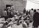 Lybie Tripoli Moutons En Attente D'embarquement Bateau Ancienne Photo 1940's? - Africa