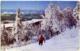 CANADA  LAURENTIDES  Skiing At Mont Tremblant Ski Sci - Altri & Non Classificati