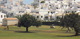 GOLF:  Villa Martin, Torrevieja, Alicante - GOLF COURSE , GOLF CART - (Espana/Spain) - Golf