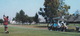 GOLF:  Villa Martin, Torrevieja, Alicante - CAMPO DE GOLF , GOLF CART - (Espana/Spain) - Golf