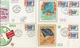 LOT DE 12 LETTRES FDC AFFRANCHIES CONSEIL DE L'EUROPE  ANNEE 1958 A 1975 - COTE + De 60 € - Lettres & Documents