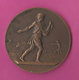 Médaille Semaille & Labour Avec Boeuf Par J.Lagrange Associations Agricoles RF Bronze 60gr Diam 5.6cm - Autres & Non Classés