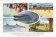 Monkey Mia Dolphin Resort, Shark Bay, Western Australia - Unused - Altri & Non Classificati