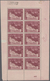 Belgien: 1926/1927. Tuberculosis 5fr+1fr In A Miniature Sheet Of 10, Bearing The Margin Inscription - Andere & Zonder Classificatie