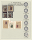 Delcampe - Polen - Polnisches Korps (1917/18): 1917/1918, Specialised Collection On Album Pages, Showing All Is - Other & Unclassified