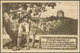 Delcampe - Bayern - Ganzsachen: 1900/1914, Posten Von 525 Privat-Postkarten Aus PP 15 C 56 Bis PP 48 F, Ungebra - Other & Unclassified