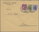 Deutsches Reich: 1895/1923, FIRMENLOCHUNGEN, Interessanter Posten Mit Ca.100 Belegen, Dabei Augensch - Sammlungen