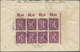 Deutsches Reich - Inflation: 1921-1923, Partie Mit über 350 Briefen Und Belegen, Dabei Viele Untersc - Unused Stamps