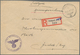 Delcampe - Feldpost 1. Weltkrieg: 1870/1947 (ca.), Feldpost/Kriegsgefangenenpost, Vielseitiges Lot Von 44 Brief - Autres & Non Classés