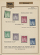 Bizone: 1946/1949, All.Bes. Und Hauptwert Bizone, Saubere Ungebrauchte Sammlung Auf Selbstgestaltene - Sonstige & Ohne Zuordnung