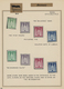 Bizone: 1946/1949, All.Bes. Und Hauptwert Bizone, Saubere Ungebrauchte Sammlung Auf Selbstgestaltene - Autres & Non Classés