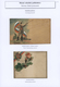 Ansichtskarten: Alle Welt: CZECHOSLOVAKIA, From 1900 Onwards. SOKOL - National Minded Gymnastic Move - Non Classés