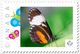 BUTTERFLY Isabella = Personalized Picture Postage Stamp MNH Canada 2018 [p18-09-19] - Vlinders