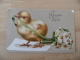 Lot 3 Carte Gaufre Poussin Humanise - Sonstige & Ohne Zuordnung