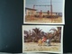 Delcampe - PAPY SUR UN MANÈGE FOIRE À L ATOMIUM PLAGE MER DANSE ENDIABLÉE 20 PHOTOS ORIGINALES EN COULEURS FAMILLE BELGIQUE  1970 - Album & Collezioni
