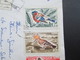 Libanon 1966 Luftpost / Par Avion Einschreiben R - 401 Motivmarken Schmetterlinge Und Vögel - Libano